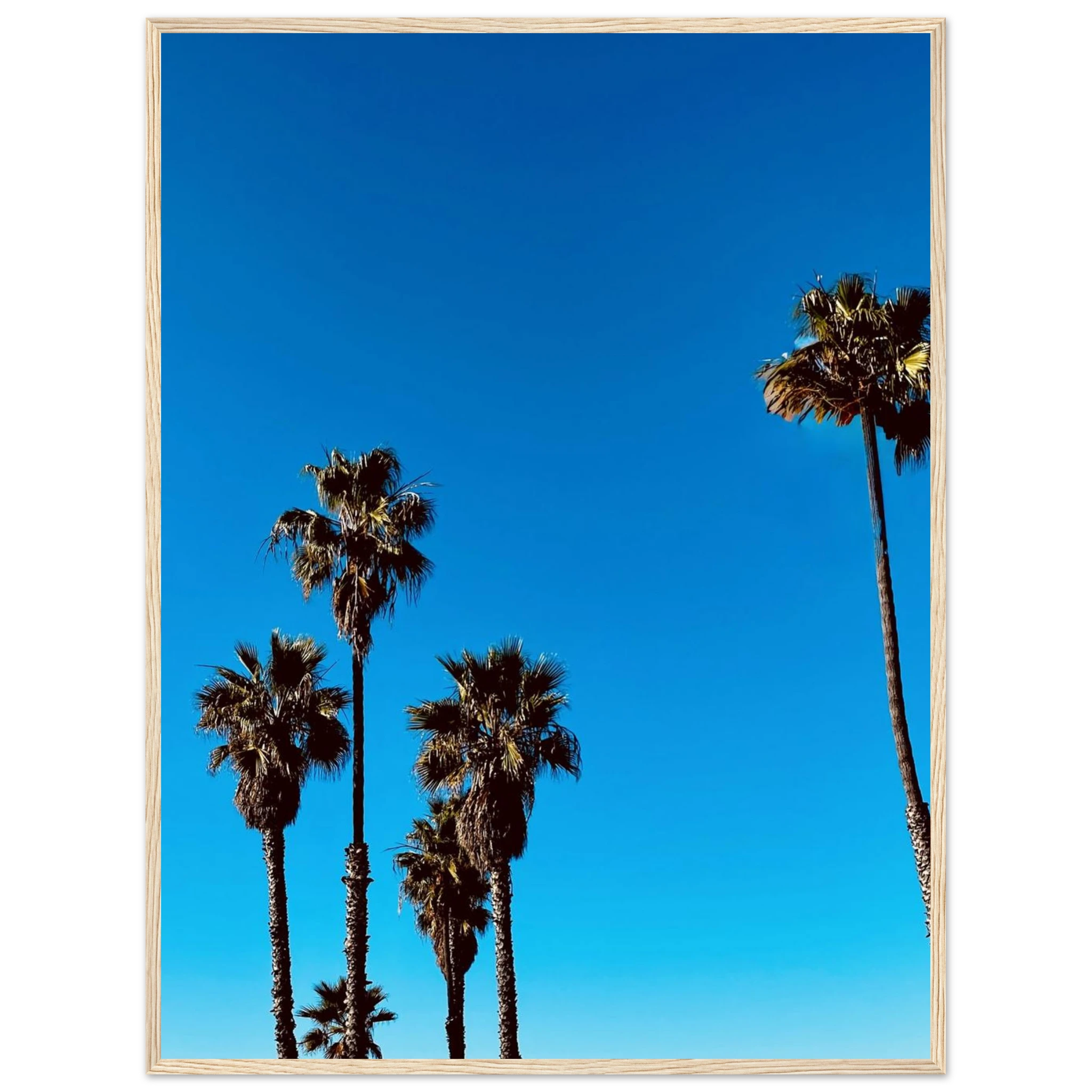 Wooden framed Santa Barbara Palm Tree poster art by CaliCuration, semi-glossy paper, California-themed home decor for spring 2026.