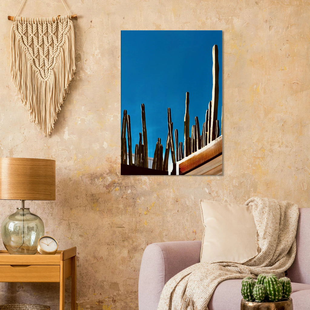 Mexico cactus family rooftop canvas print from My Store's Travel Collection Spring 2026, showcasing vibrant desert plants.