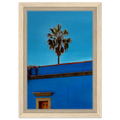 Mexico Oaxaca streets print by CaliCuration featuring palm trees on blue framed canvas artwork from the Spring 26 travel collection.