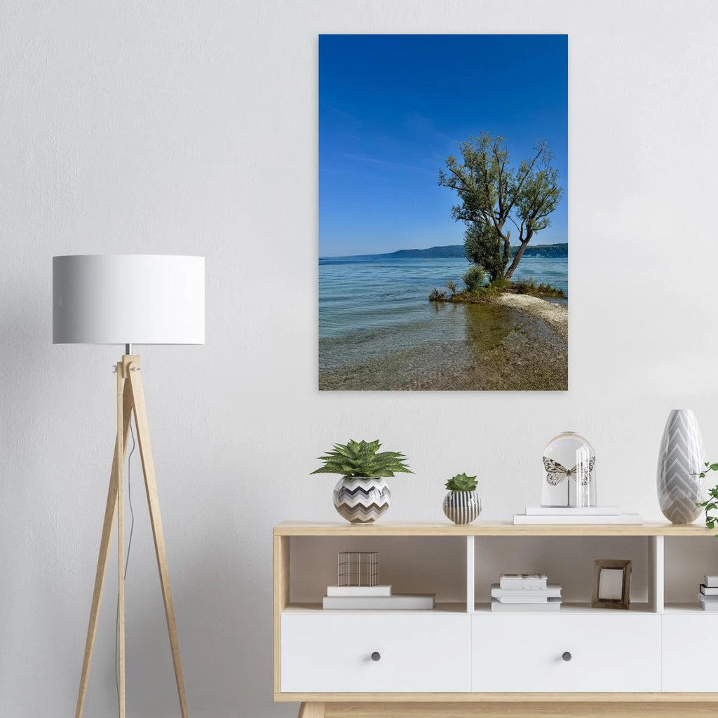 Aluminum print of a majestic tree on a European lake, nature-inspired wall art from the Travel Collection by My Store.