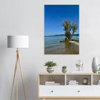 Aluminum print of a majestic tree on a European lake, nature-inspired wall art from the Travel Collection by My Store.