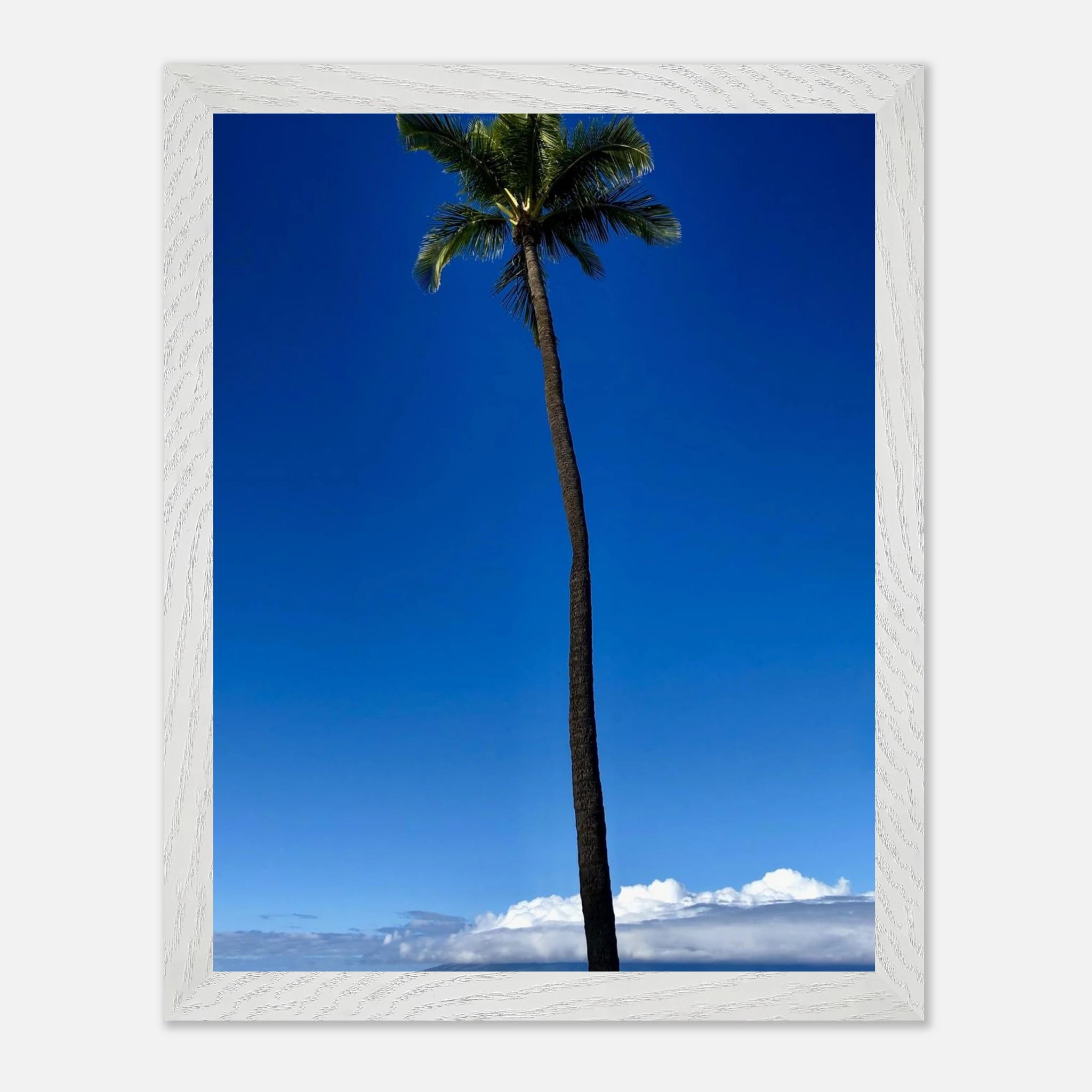 Framed Maui Hawaii Majestic Palm Tree travel poster by CaliCuration, featuring lush palms and tropical landscape scene.