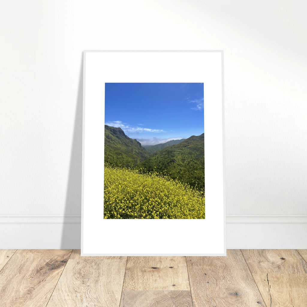 High-quality framed art print of Malibu Canyon in spring bloom wildflowers, showcasing California landscape art by My Store.