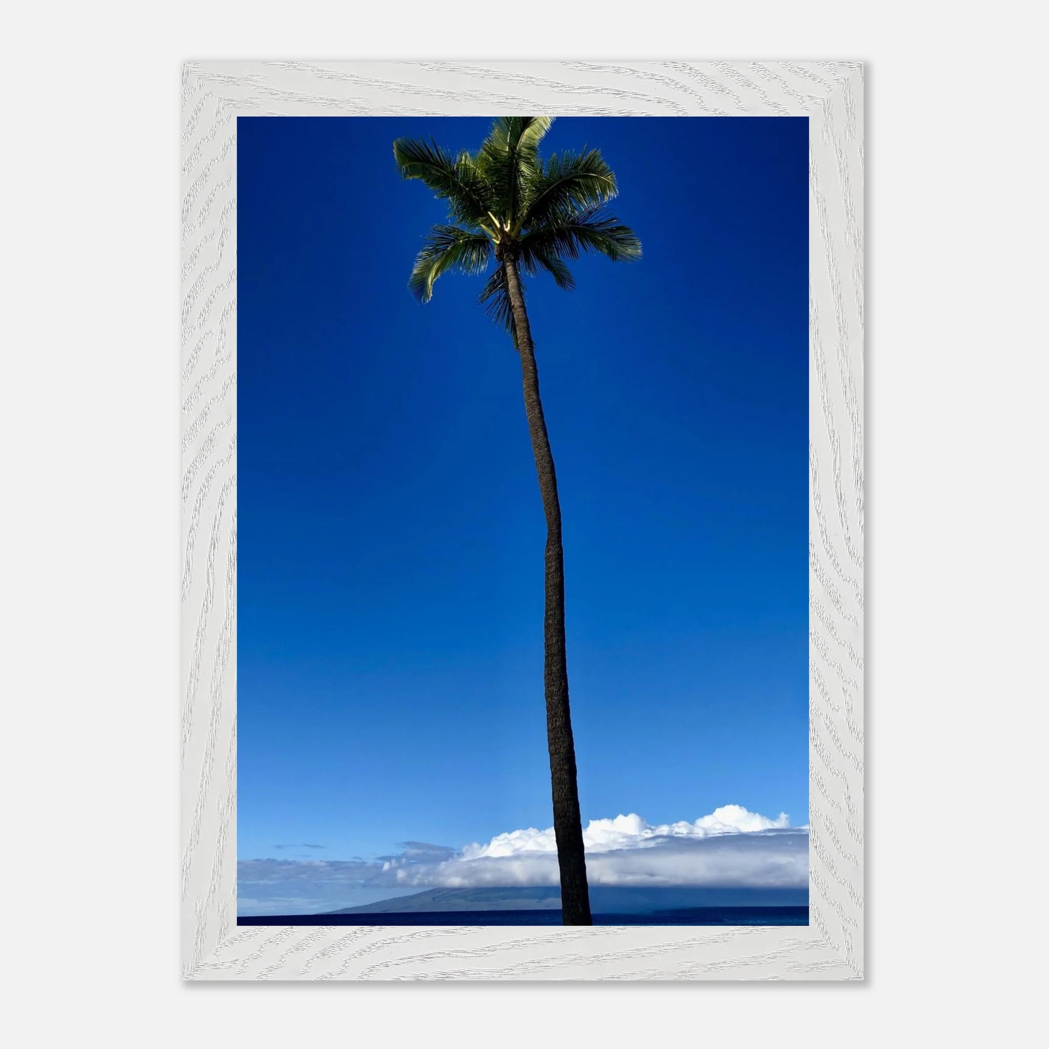 Framed Maui Hawaii Majestic Palm Tree print by CaliCuration from the Travel Collection, showcasing vibrant tropical scenery.