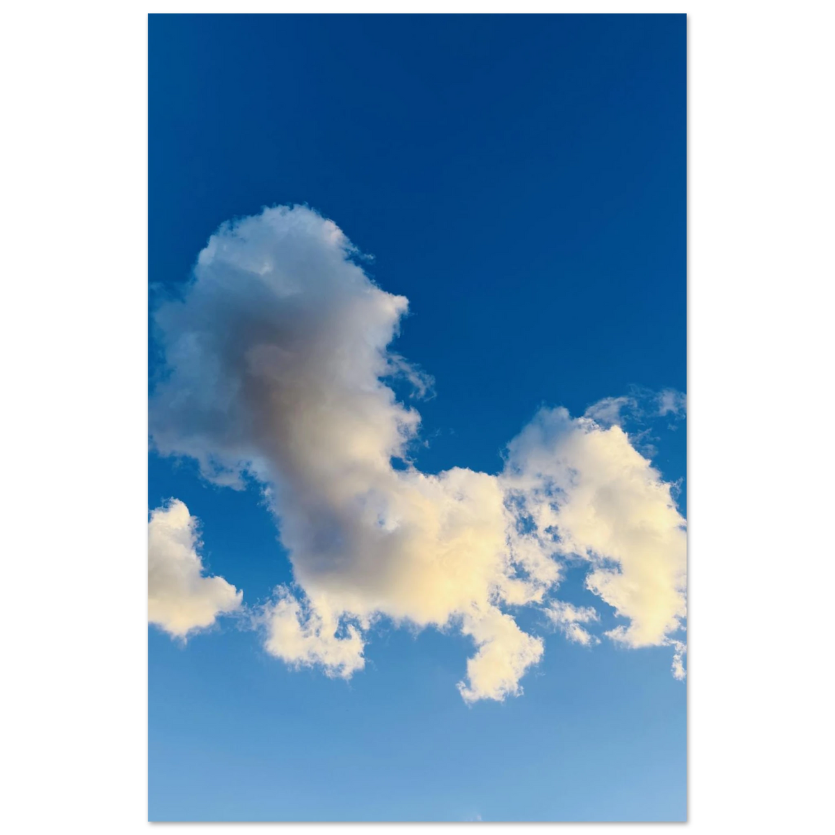 6b36c3ea-255e-485a-ae1b-c52dd2d03a23