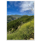 Wooden framed Malibu Canyon Wildflowers poster on museum-quality matte paper wall art, showcasing California floral scenery.
