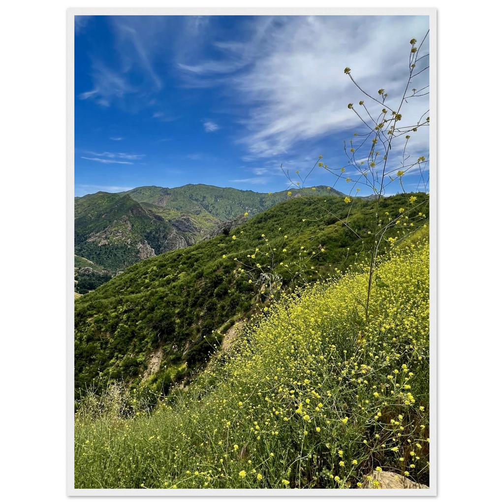 Wooden framed Malibu Canyon Wildflowers poster on museum-quality matte paper wall art showcasing California native flowers.
