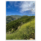 Wooden framed Malibu Canyon Wildflowers poster on museum-quality matte paper wall art showcasing California native flowers.