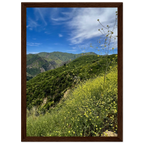 Malibu Canyon Wildflowers wooden framed poster print on museum-quality matte paper, featuring California nature artwork.