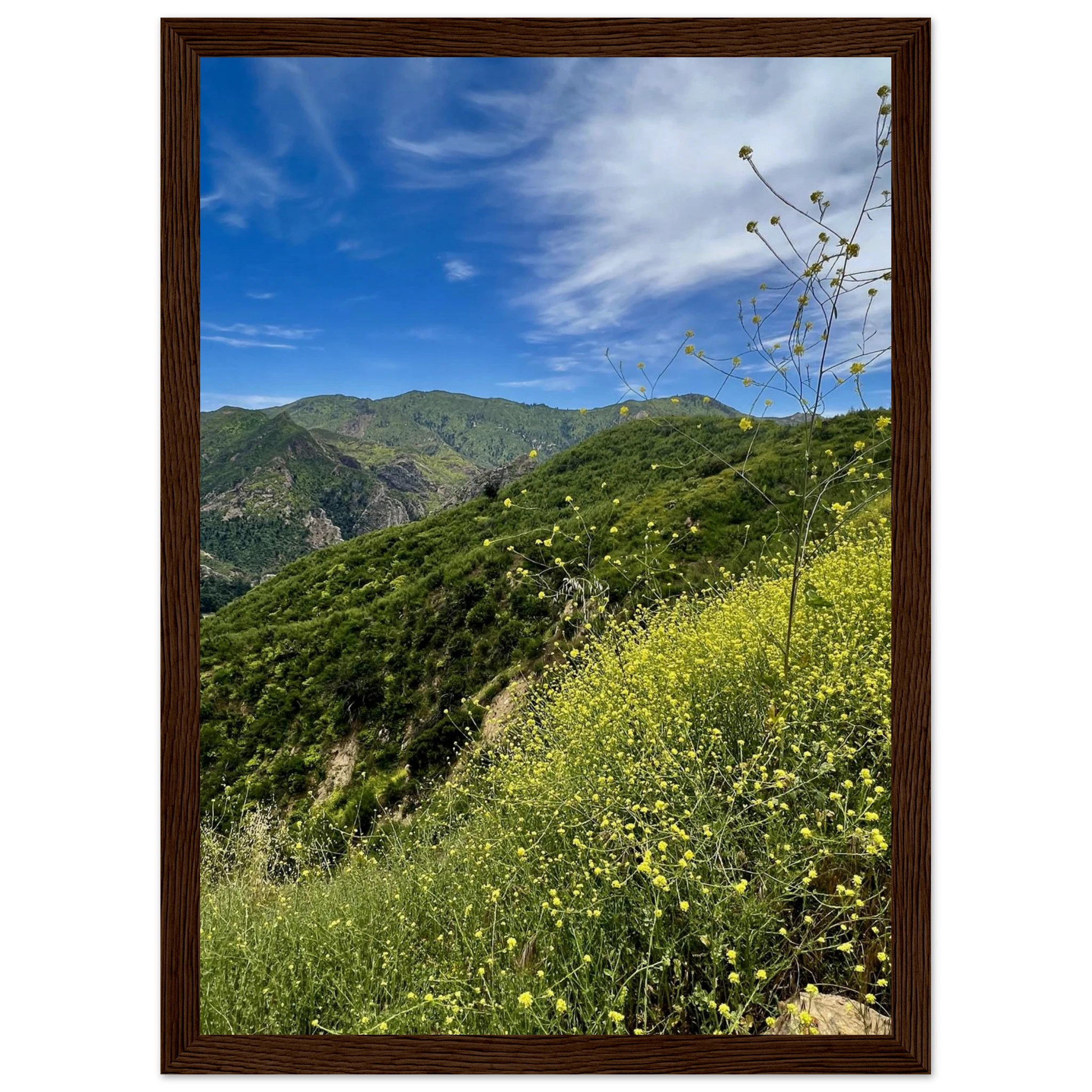 Malibu Canyon Wildflowers wooden framed print on museum-quality matte paper wall art, featuring California poster art by My Store.