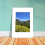 High-quality framed art print of Malibu Canyon in spring bloom with wildflowers, featuring California scenery and vibrant colors.