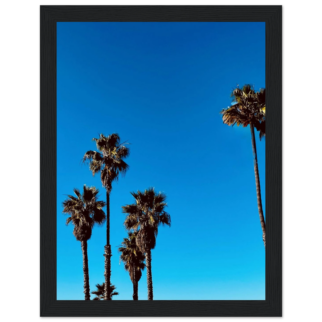 Santa Barbara Palm Tree art poster by CaliCuration, premium semi-glossy paper, wooden framed California home decor, Studio Edition Spring '26