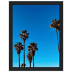 Santa Barbara Palm Tree art poster by CaliCuration, premium semi-glossy paper, wooden framed California home decor, Studio Edition Spring '26