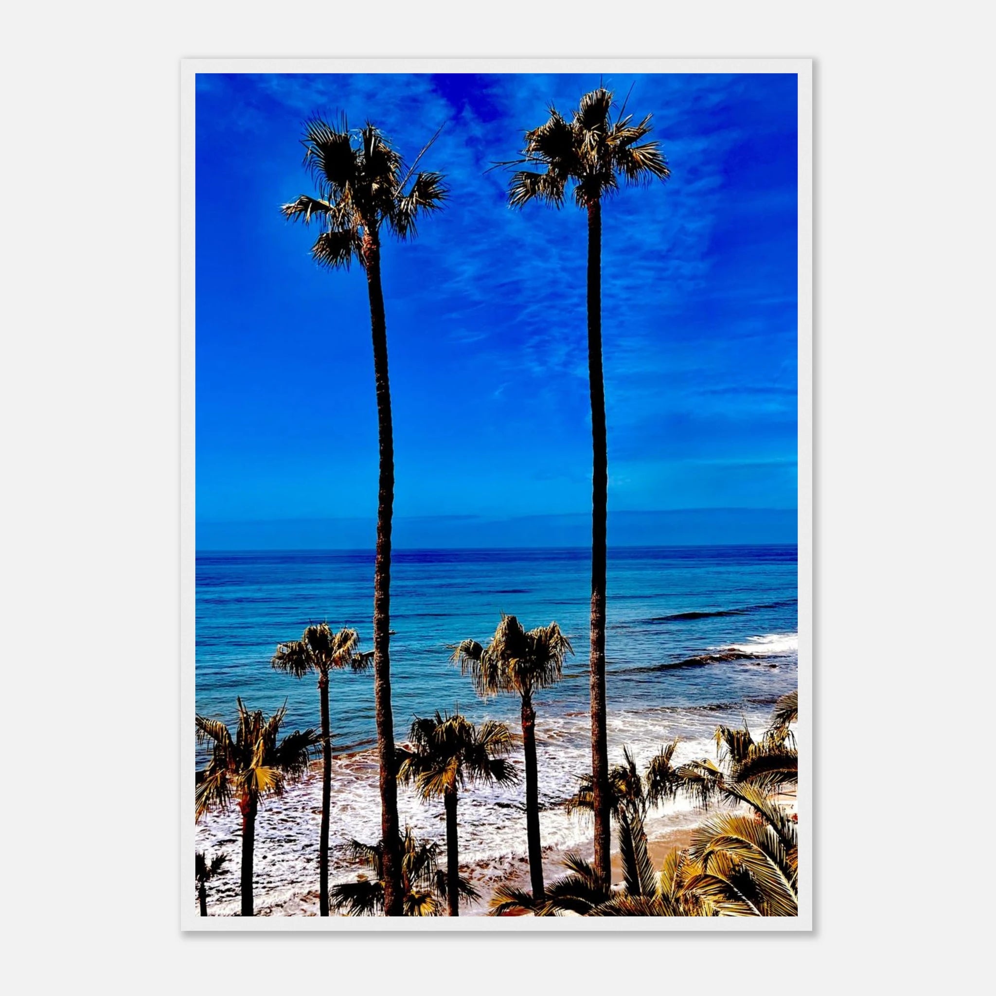 CaliCuration Malibu Palm Tree Family framed art print, California scene with palm trees, vibrant spring '26 studio edition image.