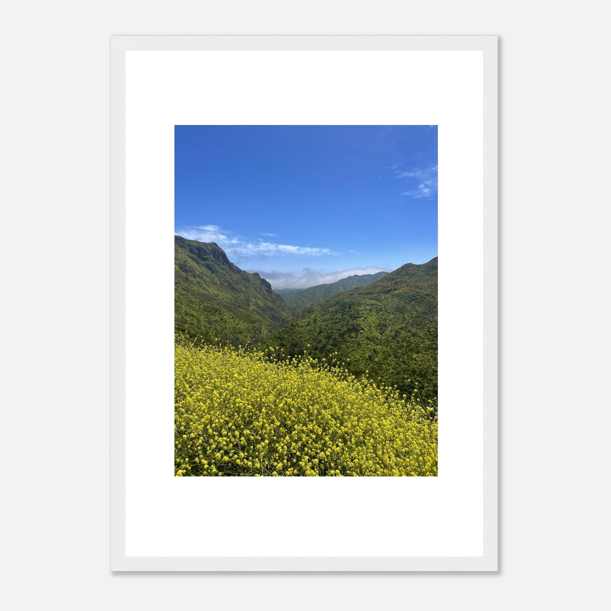 High-quality framed art print of Malibu Canyon in spring bloom wildflowers, showcasing California poster art by My Store.