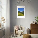 High-quality framed art print of Malibu Canyon spring wildflowers, California poster art by My Store, showcasing vibrant natural scenery.