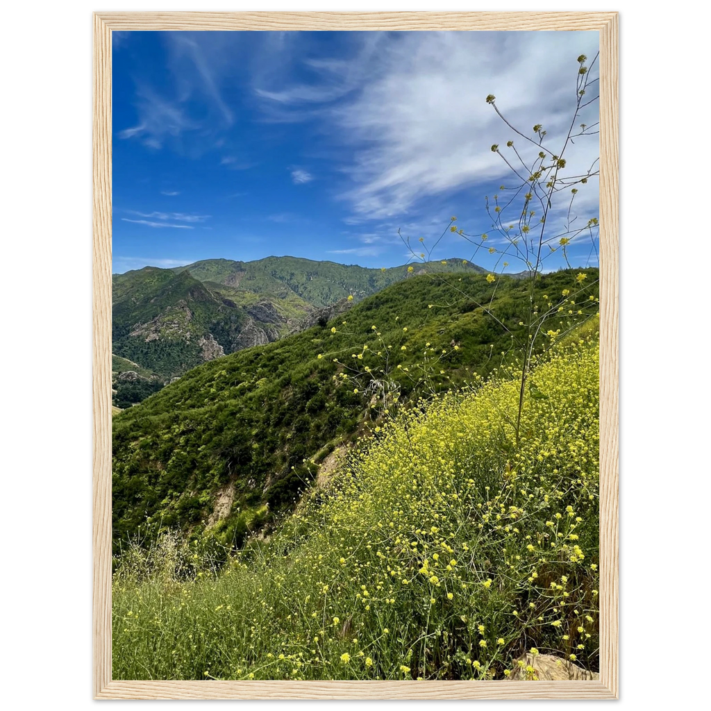 Malibu Canyon Wildflowers wooden framed poster on museum-quality matte paper wall art, California Studio Edition print.