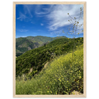 Malibu Canyon Wildflowers wooden framed poster on museum-quality matte paper wall art, California Studio Edition print.