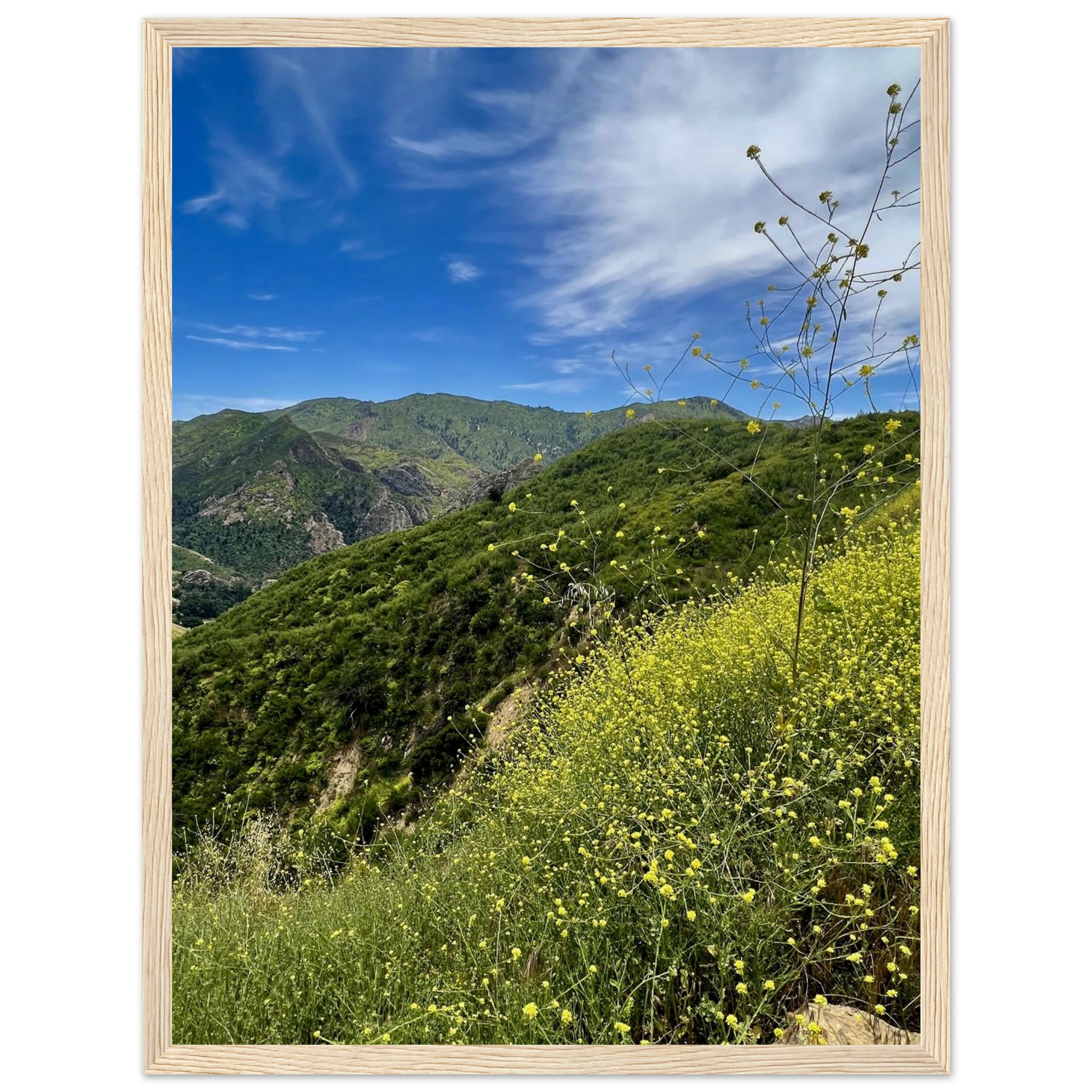 Malibu Canyon Wildflowers wooden framed poster on museum-quality matte paper wall art, California Studio Edition print.