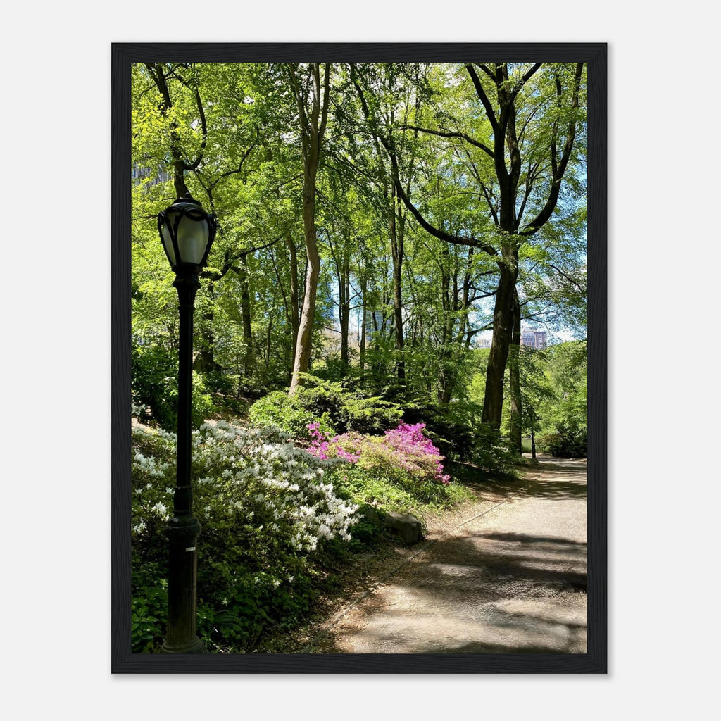 Framed print of Central Park walkway artwork on premium matte paper, featuring a scenic park scene with trees and pathway.