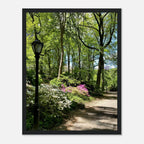 Framed print of Central Park walkway artwork on premium matte paper, featuring a scenic park scene with trees and pathway.