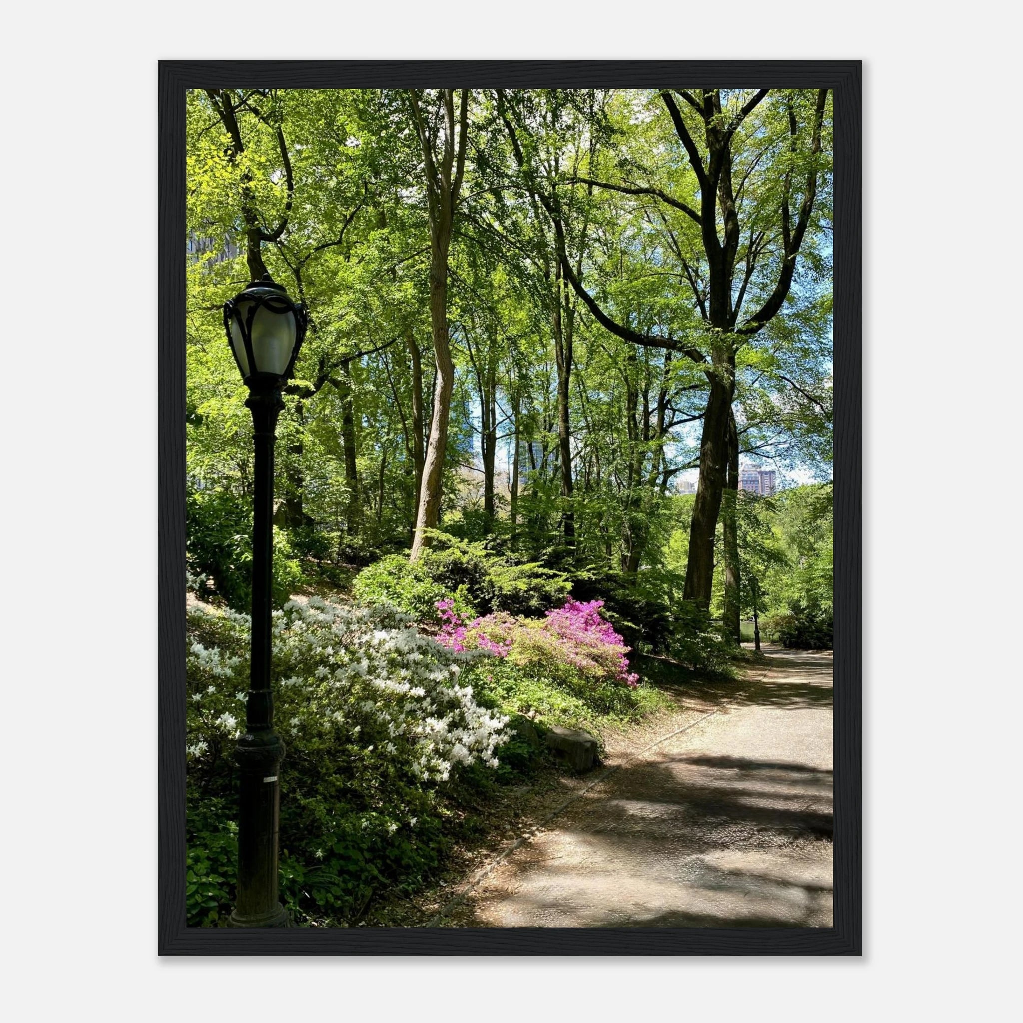 Framed print of Central Park walkway artwork on premium matte paper, featuring a scenic park scene with trees and pathway.