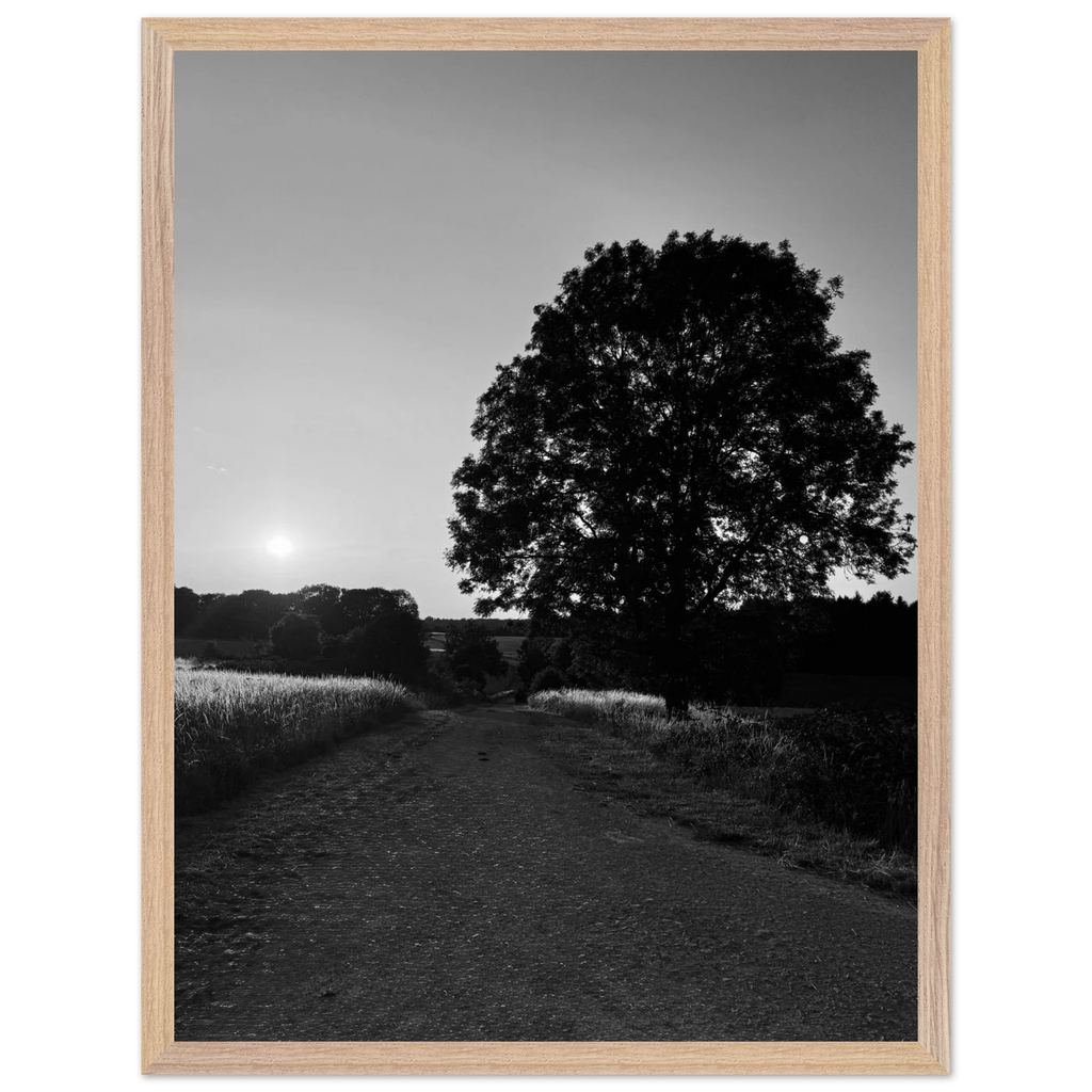 Mounted wooden framed poster of a black and white summer scene in the English Cotswolds, part of the Studio Edition travel collection.