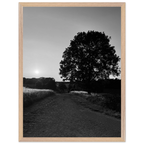 Mounted wooden framed poster of a black and white summer scene in the English Cotswolds, part of the Studio Edition travel collection.