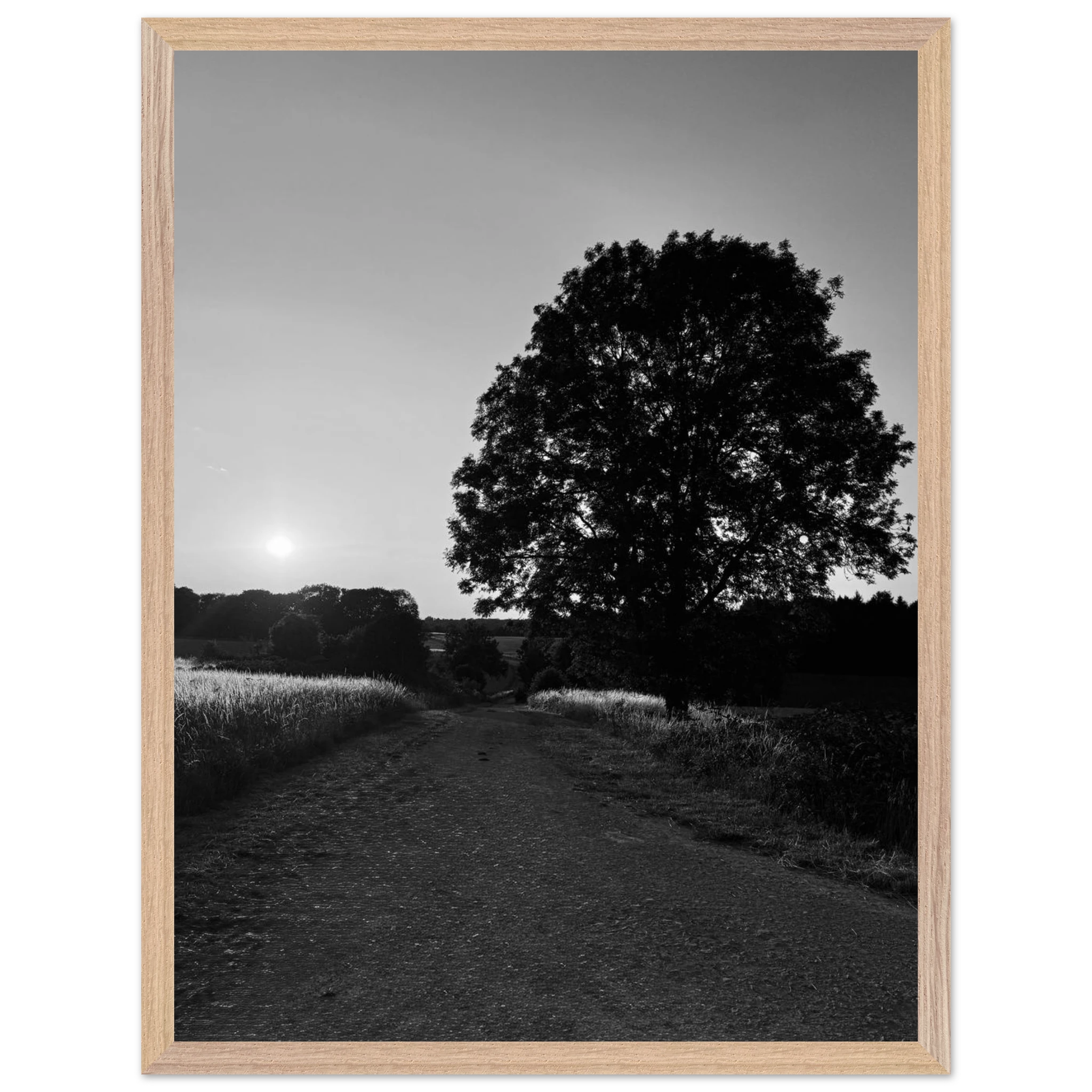 Mounted wooden framed poster of a black and white summer scene in the English Cotswolds, part of the Studio Edition travel collection.