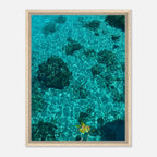 Vibrant tropical summer coastal artwork framed print, featuring natural travel-inspired scenery on canvas for home décor.