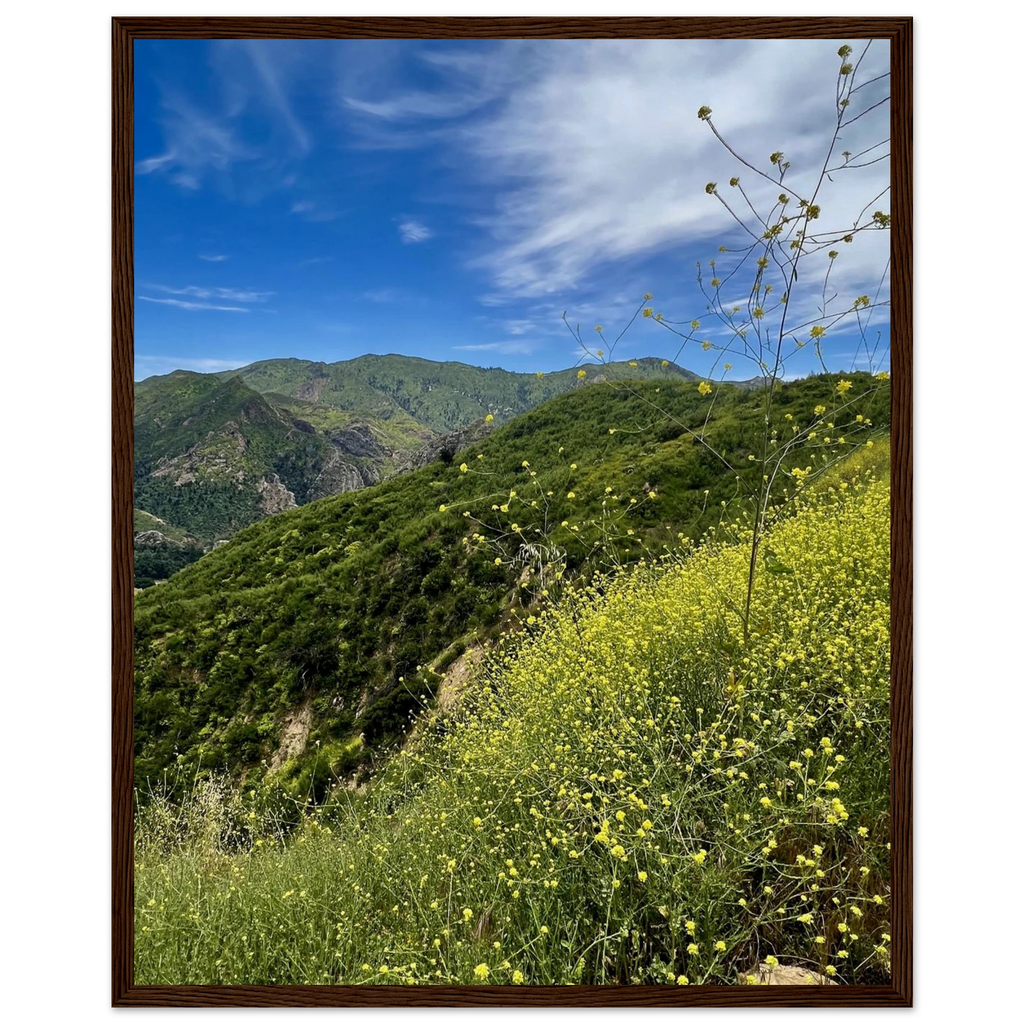 Wooden framed Malibu Canyon Wildflowers poster on museum-quality matte paper wall art, featuring California nature scenery.