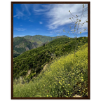Wooden framed Malibu Canyon Wildflowers poster on museum-quality matte paper wall art, featuring California nature scenery.