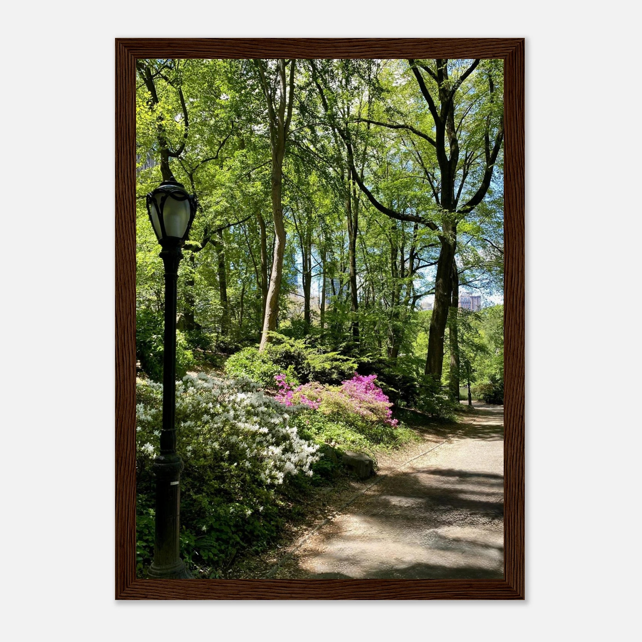 Framed print of Central Park walkway artwork on premium matte paper with wooden frame, part of the Travel Collection Studio Edition.