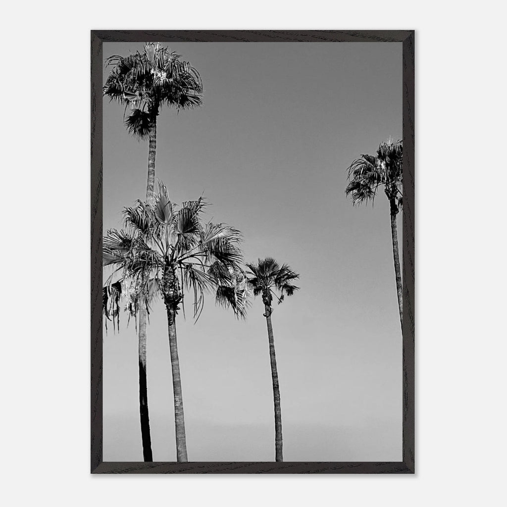Premium wooden framed black and white California beach icons poster from My Store's Holiday 25 Studio Edition.