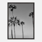 Premium wooden framed black and white California beach icons poster from My Store's Holiday 25 Studio Edition.