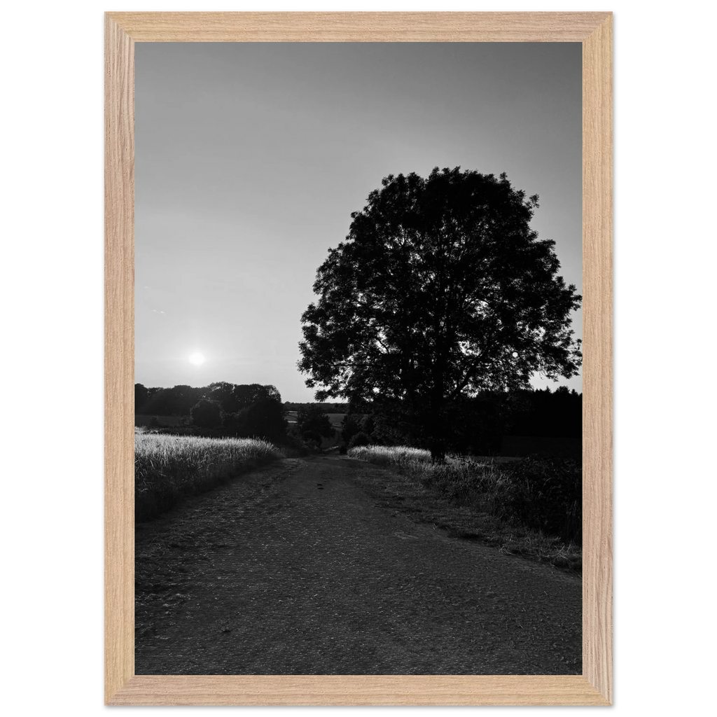 Mounted wooden framed poster of a black and white summer scene in the Cotswolds, part of the Travel Collection Studio Edition.