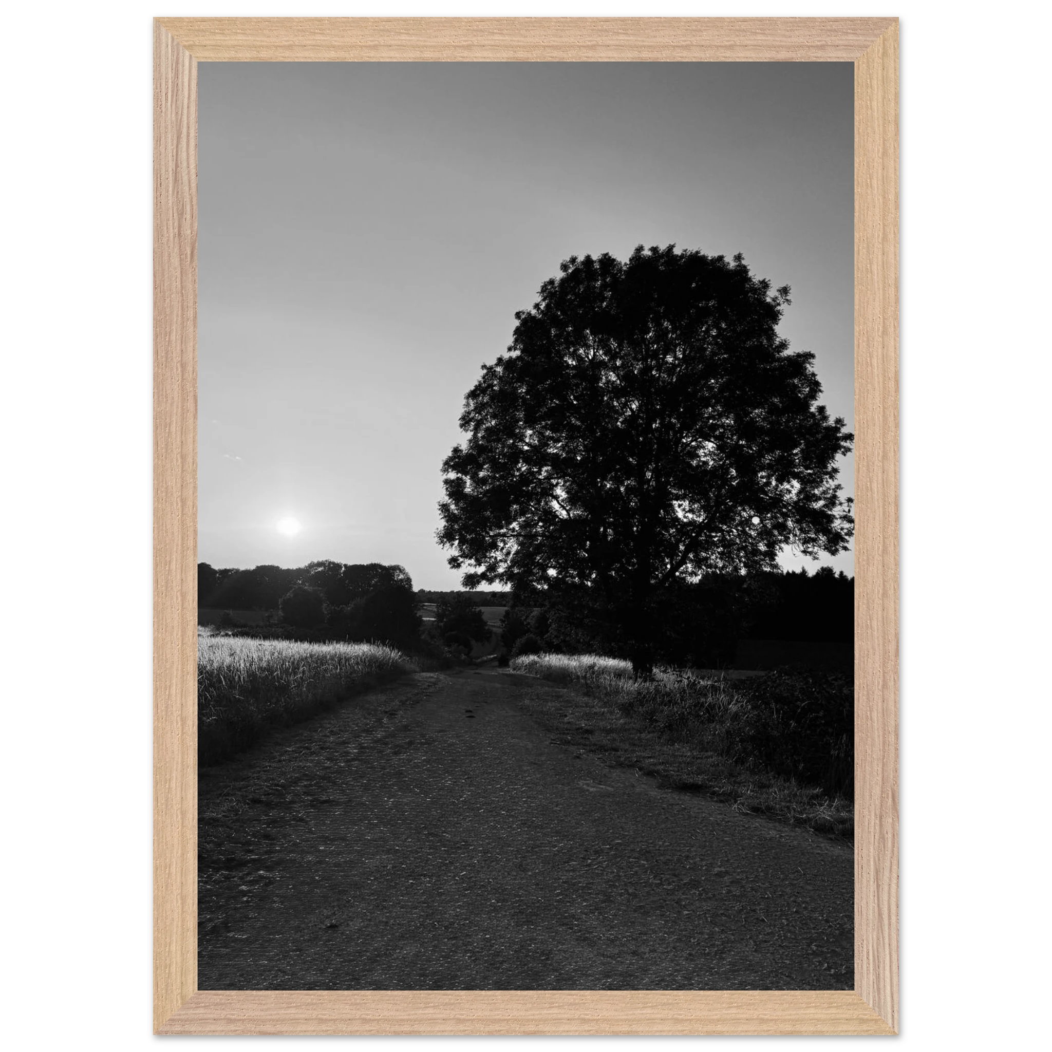 Mounted wooden framed print of a black and white summer scene in the English Cotswolds from the My Store travel collection.