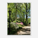 Central Park walkway framed art print on premium matte paper with wooden frame from the Travel Collection Studio Edition.