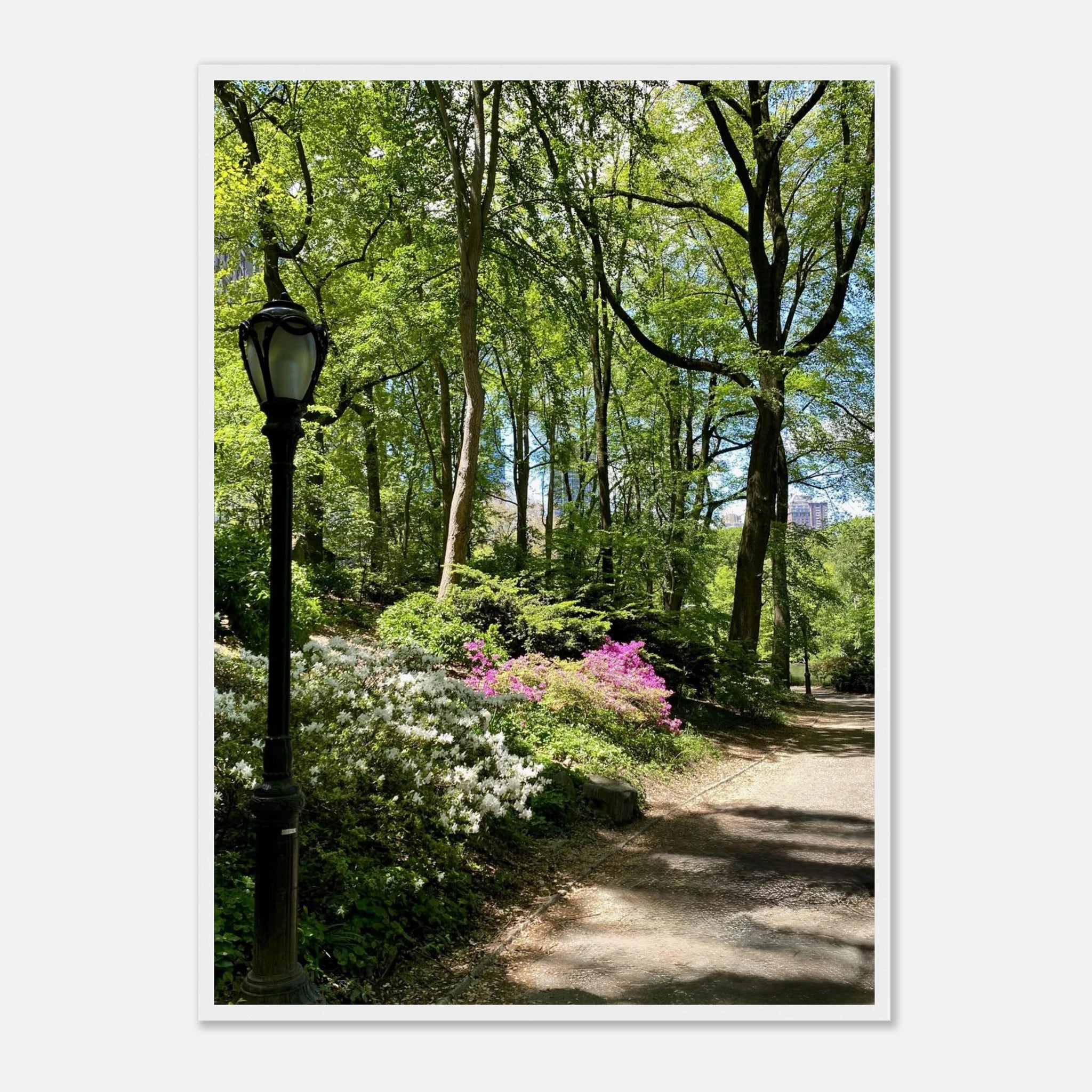 Central Park walkway framed art print on premium matte paper with wooden frame from the Travel Collection Studio Edition.