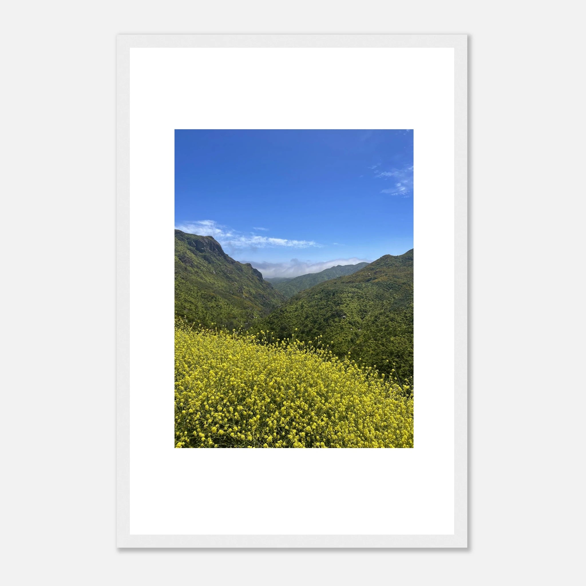 High-quality framed art print of Malibu Canyon in spring bloom with wildflowers, California poster art by My Store.