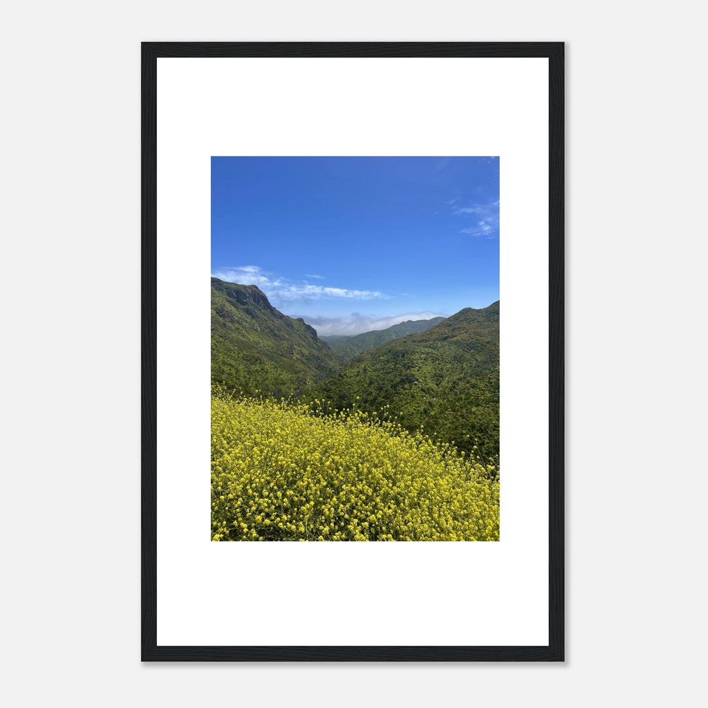 High-quality framed art print of Malibu Canyon in spring bloom wildflowers, showcasing colorful California landscape artwork.