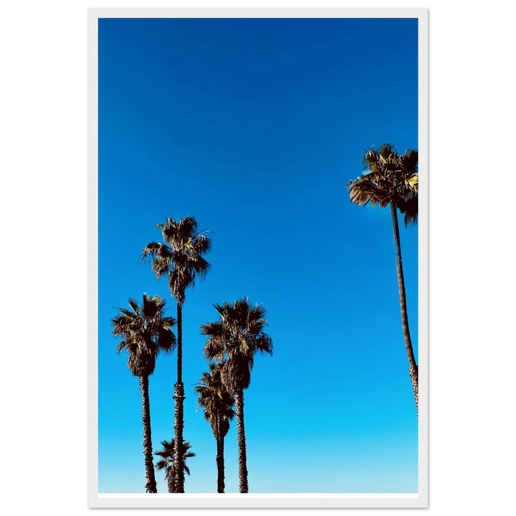Santa Barbara Palm Tree art poster by CaliCuration, premium semi-glossy paper, wooden frame, California-themed home decor, spring 2026 edition.