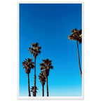 Santa Barbara Palm Tree art poster by CaliCuration, premium semi-glossy paper, wooden frame, California-themed home decor, spring 2026 edition.