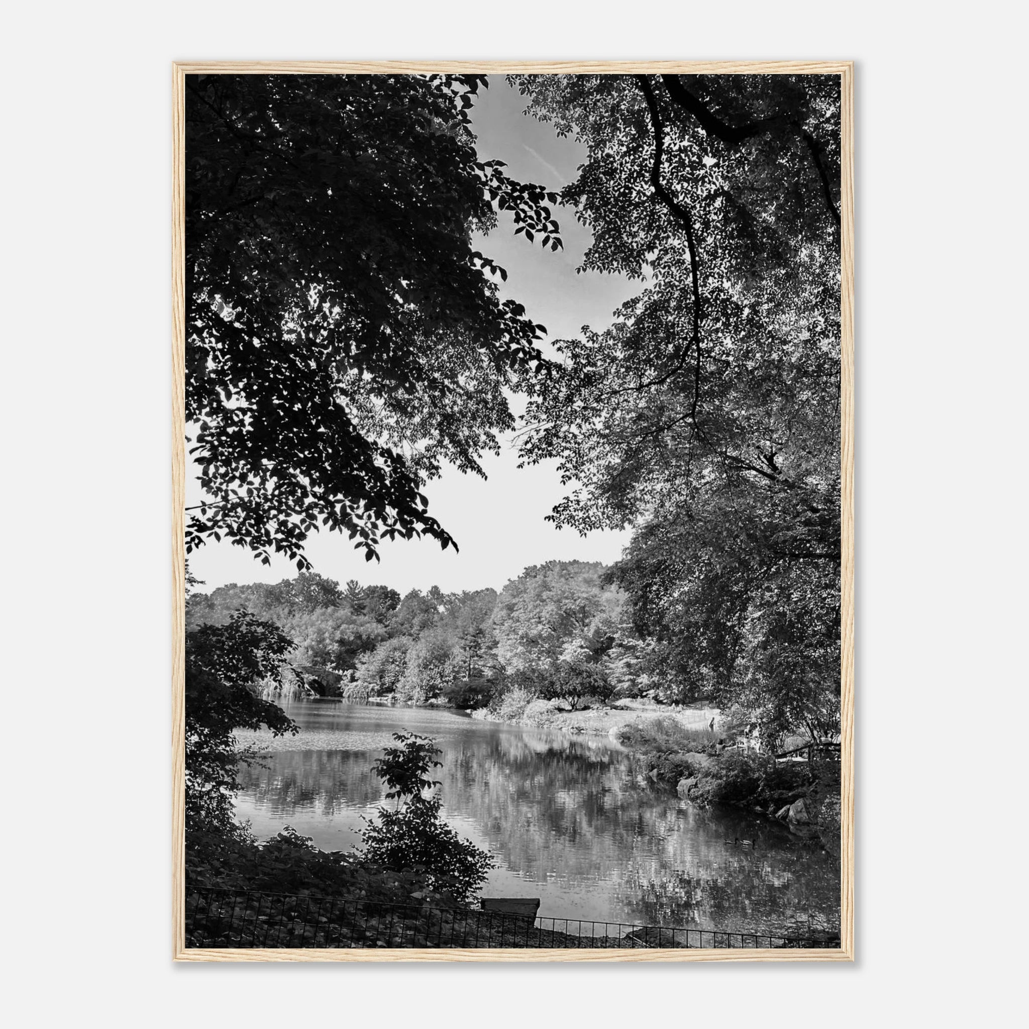 Black and white framed print of Upstate NY summer lake scene from My Store's travel collection, Studio Edition black and white series.