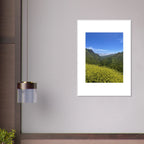 High-quality framed art print of Malibu Canyon in spring bloom wildflowers, showcasing vibrant California landscape artwork.