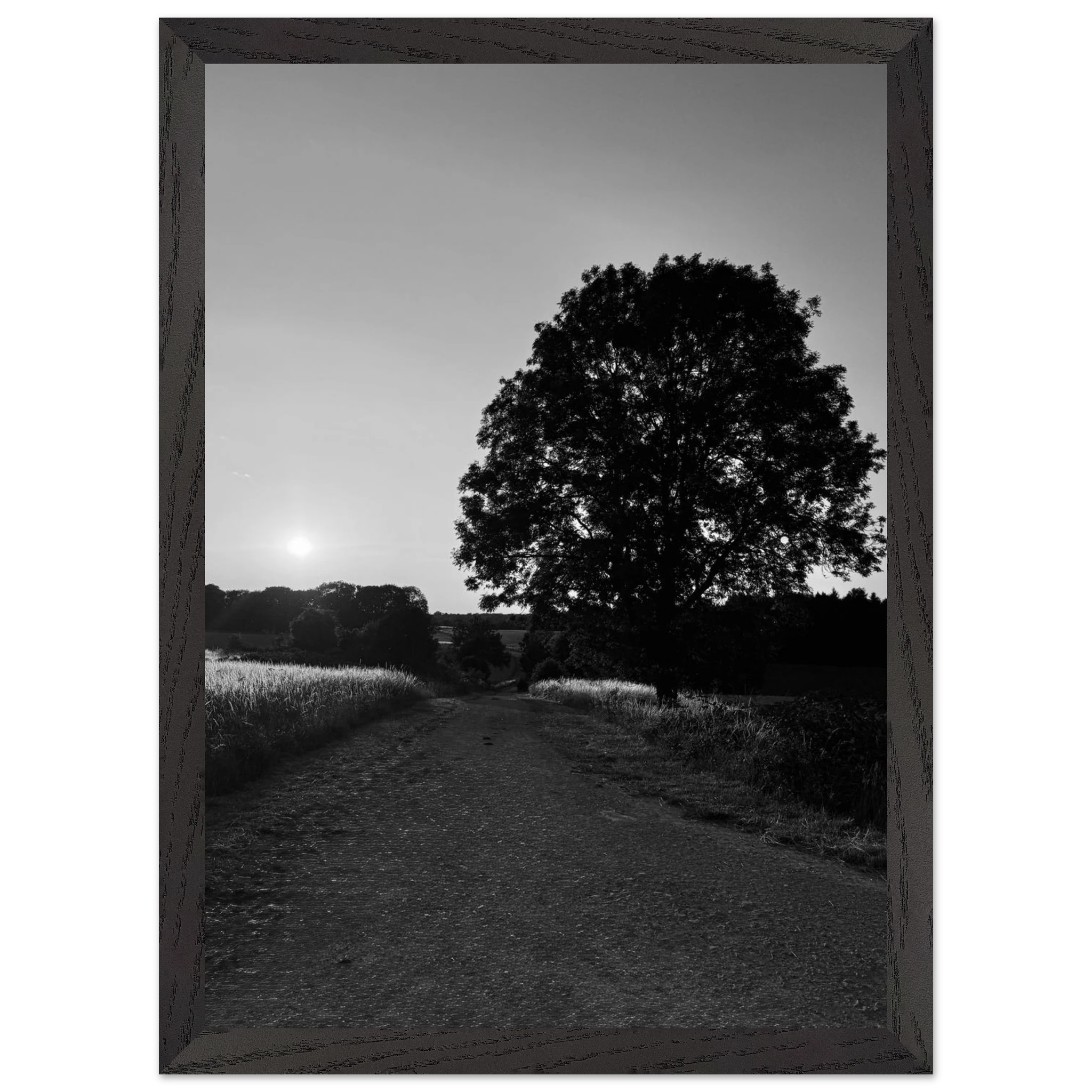 Mounted wooden framed poster of a black and white countryside scene from the Cotswolds, part of the Summer travel collection.