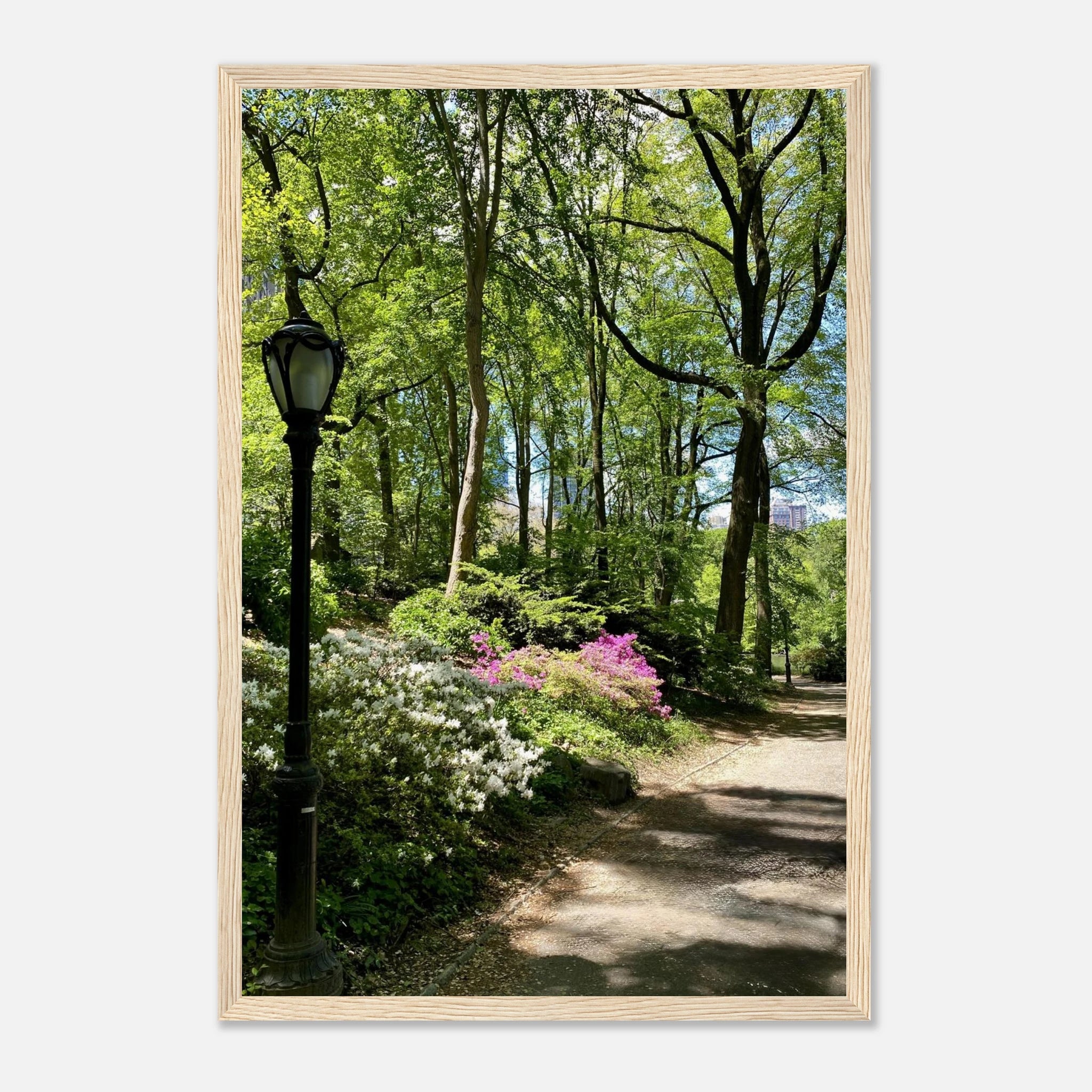 Central Park walkway framed art print on premium matte paper with wooden frame, part of the Studio Edition travel collection.