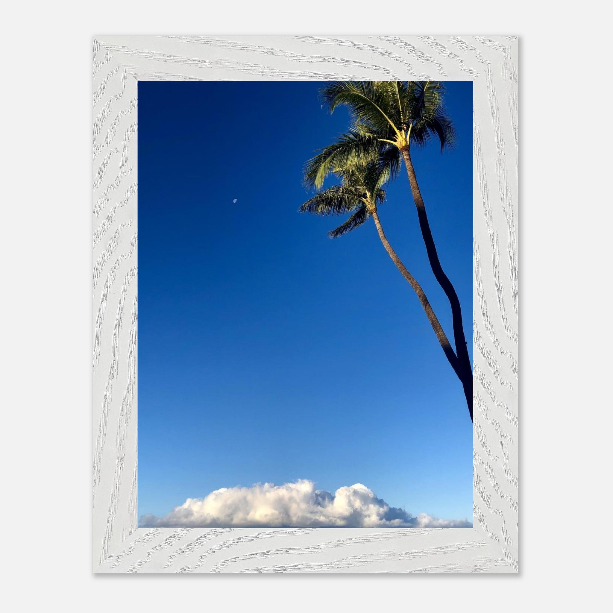 82c77f7f-7aed-431c-b425-2b8f7da59b48