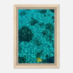 Vibrant tropical summer coastal artwork framed print from the Studio Edition Travel Collection, showcasing natural beach scenery on canvas.