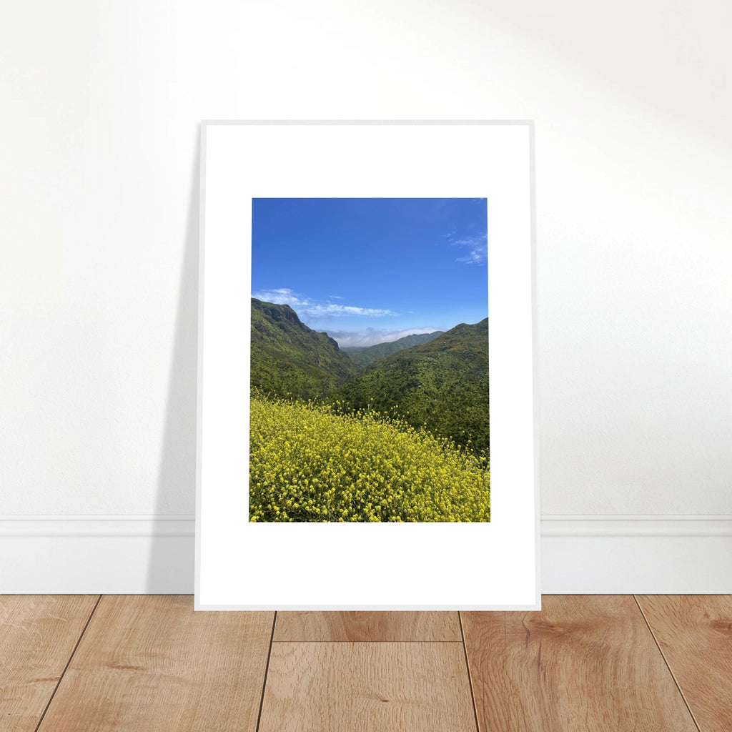High-quality framed art print of Malibu Canyon spring wildflowers, California poster art by My Store, showcasing vibrant spring blooms.